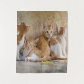 オレンジと白のトラ猫の子猫+ペットの写真を追加 タペストリー (正面)