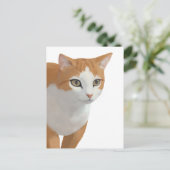 オレンジと白の猫の肖像画 ポストカード (スタンド正面)