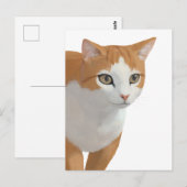 オレンジと白の猫の肖像画 ポストカード (正面/裏面)