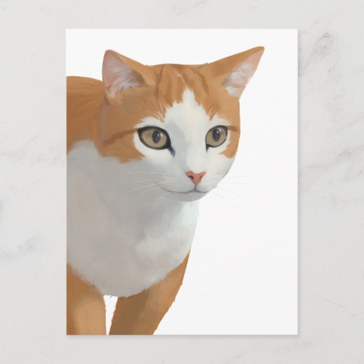オレンジと白の猫の肖像画 ポストカード (正面)