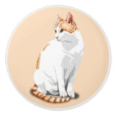 オレンジと白の猫 セラミックノブ (正面)