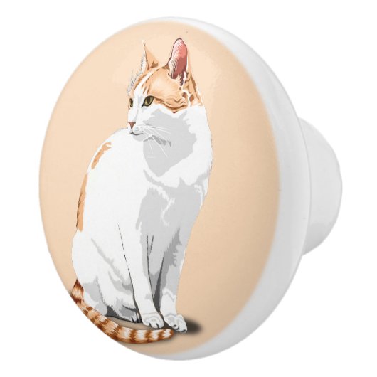 オレンジと白の猫 セラミックノブ (右)