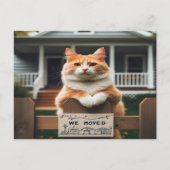 オレンジと白の雄猫を移動しました 案内ポストカード (正面)