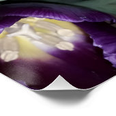 オレンジと紫の花 ポスター (コーナー)