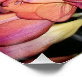 オレンジと紫の花 ポスター (コーナー)