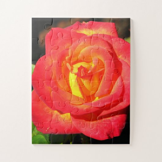 オレンジと赤が近くで上がった ジグソーパズル (縦)