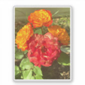 オレンジと赤の花園 シール (正面)