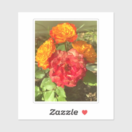 オレンジと赤の花園 シール (シート)