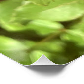 オレンジと赤の花園 ポスター (コーナー)