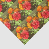 オレンジと赤の花園 薄葉紙 (詳細)