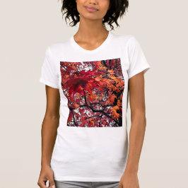 オレンジと赤離れの Tシャツ
