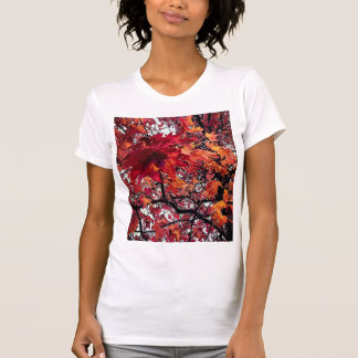 オレンジと赤離れの Tシャツ