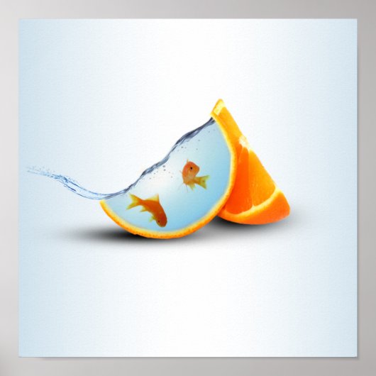 オレンジと赤魚 ポスター (正面)