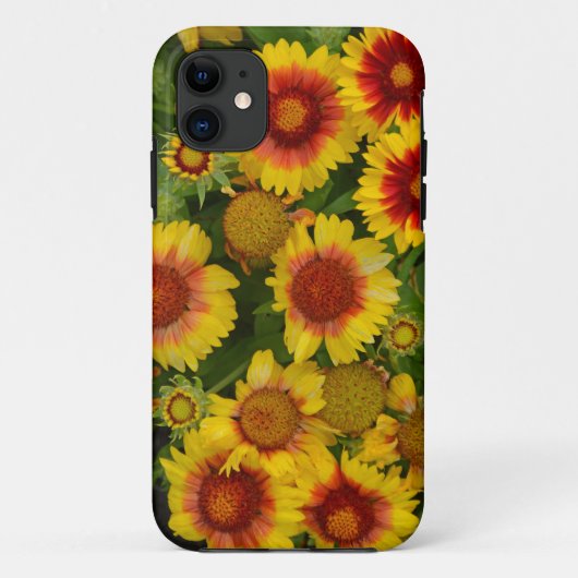 オレンジと黄色のエキナセアフローラのケース Case-Mate iPhoneケース (裏面)