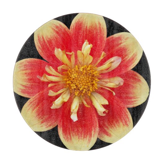 オレンジと黄色のコラレットダリアの花 カッティングボード (正面)