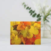 オレンジと黄色のジョニーはがきをジャンプ ポストカード (スタンド正面)