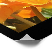 オレンジと黄色のチューリップの大地が花で笑う ポスター (角)