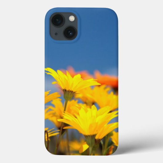 オレンジと黄色のナマクアランド・デイジー Case-Mate iPhoneケース (裏面)