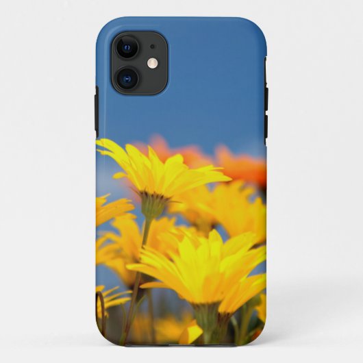 オレンジと黄色のナマクアランド・デージー Case-Mate iPhoneケース (裏面)