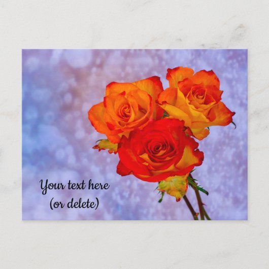 オレンジと黄色のバラのポストカード ポストカード (正面)