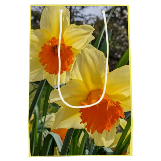 オレンジと黄色の水仙のフローラ ミディアムペーパーバッグ (裏面)