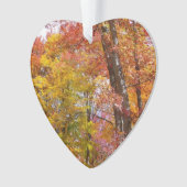 オレンジと黄色の秋ツリー秋の写真 オーナメント (正面)