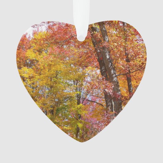オレンジと黄色の秋ツリー秋の写真 オーナメント (正面)