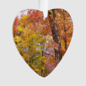 オレンジと黄色の秋ツリー秋の写真 オーナメント (正面)