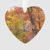 オレンジと黄色の秋ツリー秋の写真 オーナメント (裏面)