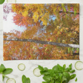 オレンジと黄色の秋ツリー秋の写真 キッチンタオル (折り畳み)