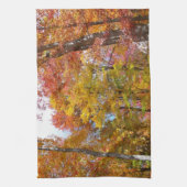 オレンジと黄色の秋ツリー秋の写真 キッチンタオル (縦)