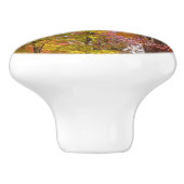 オレンジと黄色の秋ツリー秋の写真 セラミックノブ (側面)