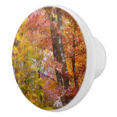 オレンジと黄色の秋ツリー秋の写真 セラミックノブ (右)