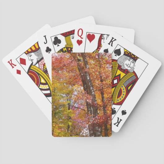 オレンジと黄色の秋ツリー秋の写真 トランプ (裏面)