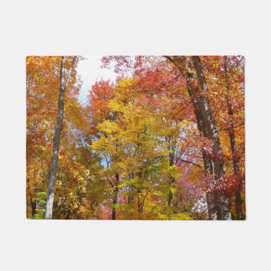 オレンジと黄色の秋ツリー秋の写真 ドアマット (正面)