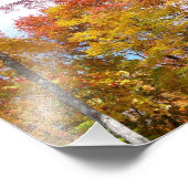 オレンジと黄色の秋ツリー秋の写真 フォトプリント            (角)