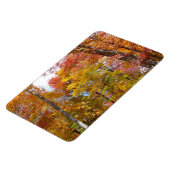 オレンジと黄色の秋ツリー秋の写真 マグネット (左側)