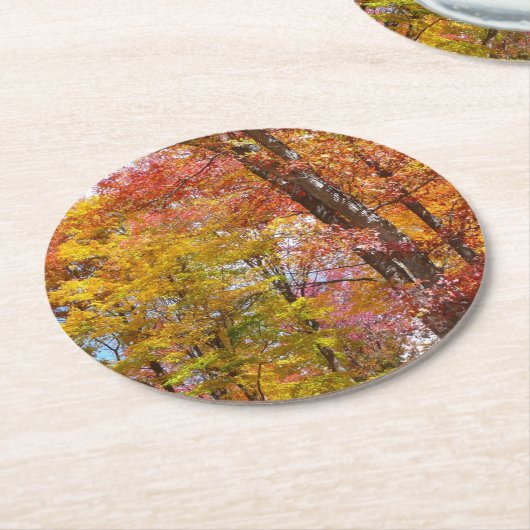 オレンジと黄色の秋ツリー秋の写真 ラウンドペーパーコースター (アングル)