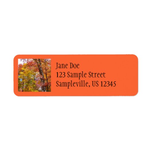 オレンジと黄色の秋ツリー秋の写真 ラベル (正面)