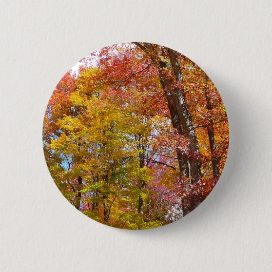 オレンジと黄色の秋ツリー秋の写真 缶バッジ (正面)