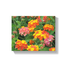 オレンジと黄色の花の引き伸ばしキャンバス印刷