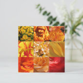 オレンジと黄色の花 (スタンド正面)