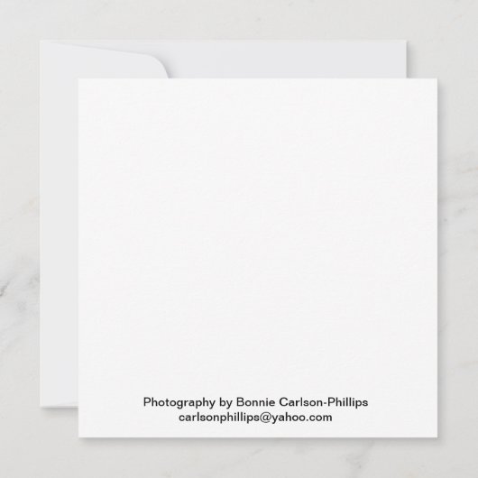 オレンジと黄色の花 (裏面)