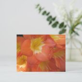 オレンジと黄色の花Longwood Gardens, PA ポストカード (スタンド正面)