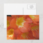 オレンジと黄色の花Longwood Gardens, PA ポストカード (正面/裏面)