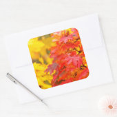 オレンジと黄色の葉秋の木 スクエアシール (封筒)