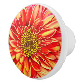 オレンジと黄金色のアスターの花 セラミックノブ (右)