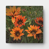 オレンジと黒ガザニアの写真のプラークとイーゼル フォトプラーク (正面)