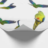 オレンジによって膨らまされるオウムの包装紙 ラッピングペーパー (角)