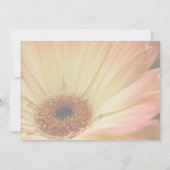 オレンジのゲルベラ • 結婚式の予告状 セーブザデート (裏面)